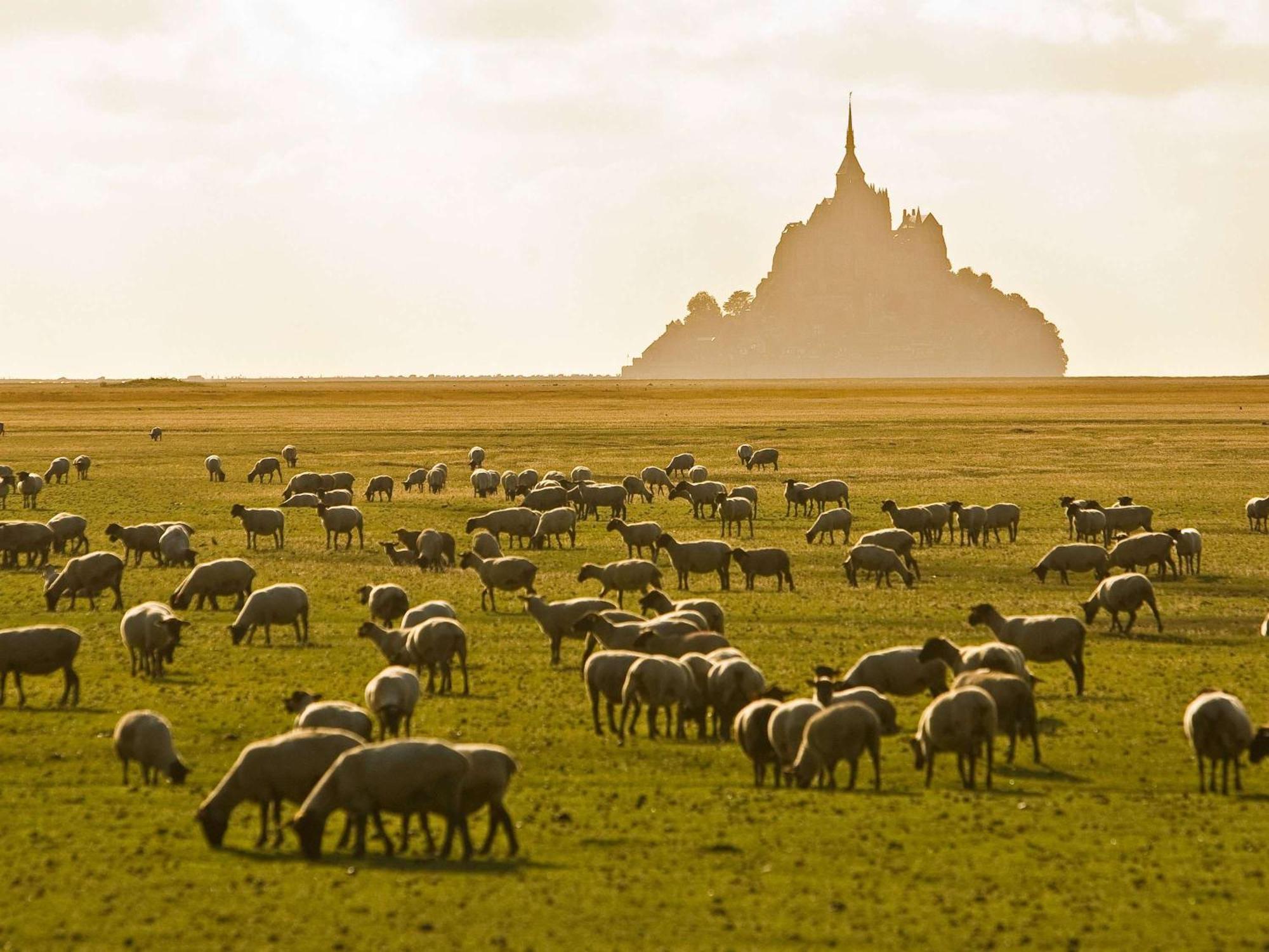 Hotelf1 Avranches Baie Du Mont Saint Michel Exterior foto